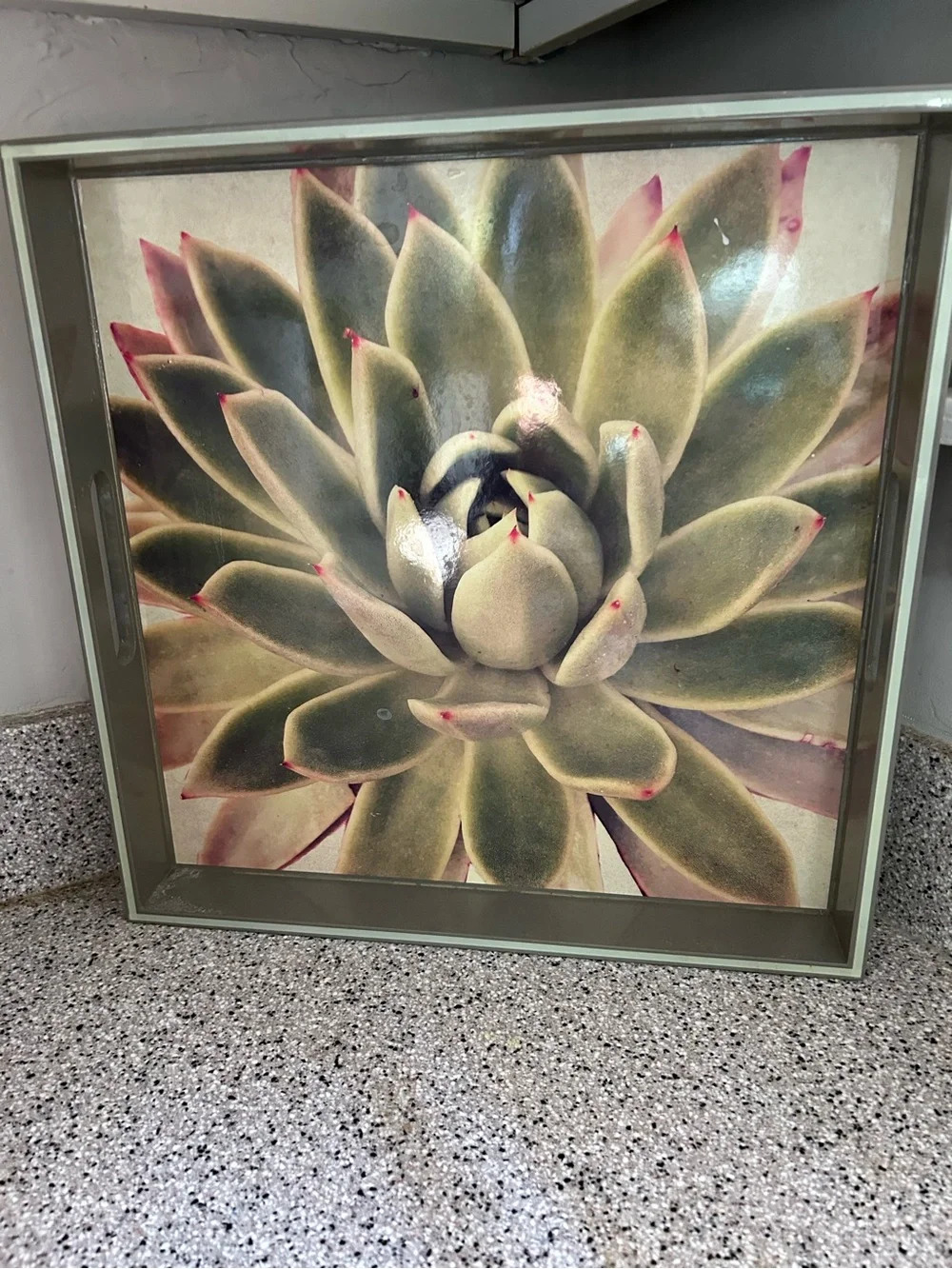 RockFlowerPaper Succulent Lacquered Serving Tray - 15